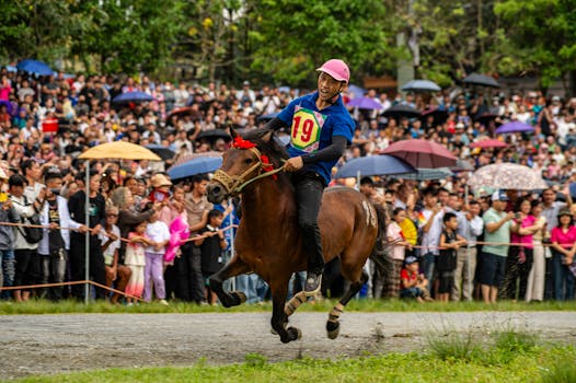 Thrilling moment as a jockey races at the Bac Ha Horse Racing Festival in Lào Cai, Vietnam.